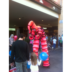 Cromacolors - Pasacalles Musical