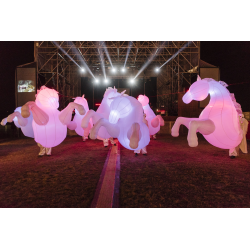Lux Equorum - Cavalls Il·luminats