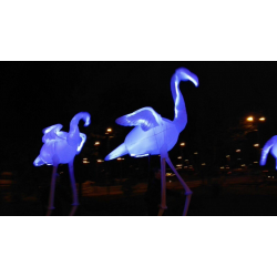 Flamingus - Flamencos Itinerantes