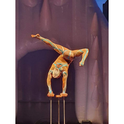 Numero de Verticals i Contorsió - Hanstand