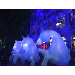 Lux Equorum - Cavalls Il·luminats