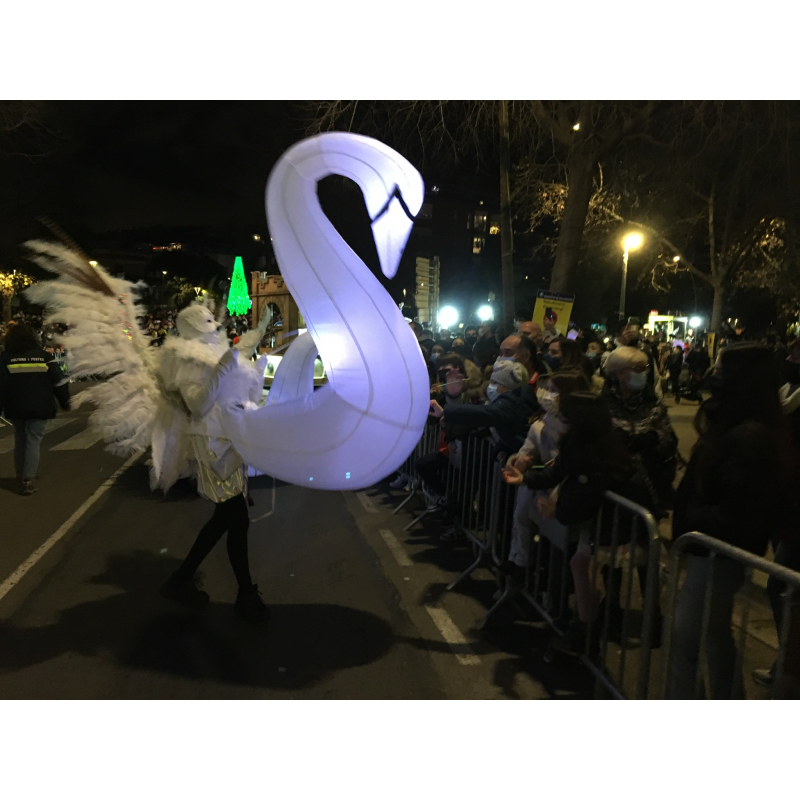 Cisnes Iluminados Cisnes Iluminados