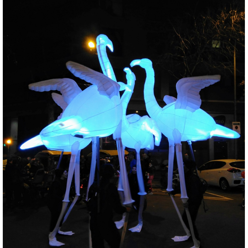 Pasacalles Flamingus