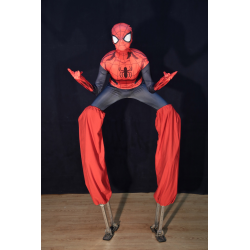 Spiderman en xanques
