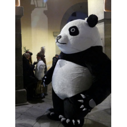 Oso Panda Gigante